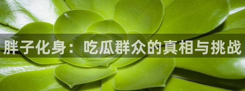 知名名人丑闻新瓜曝光